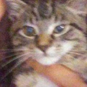 Meet your Posher, Dalila